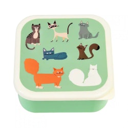Snacksbox, Katter 3-pack