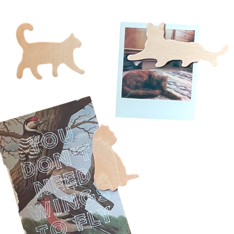 3-pack kylskåpsmagneter katt