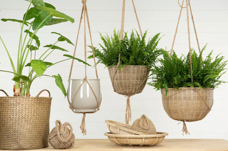 Ampel Natur Bambu Plastliner