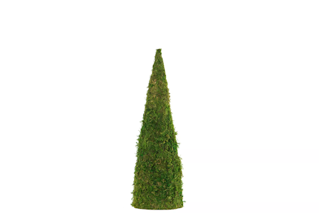 Mosskon
