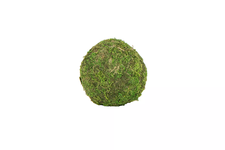 Mossboll