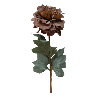 Fleur Pion