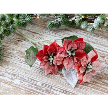 Fleur Julstjärna med snö & glitter