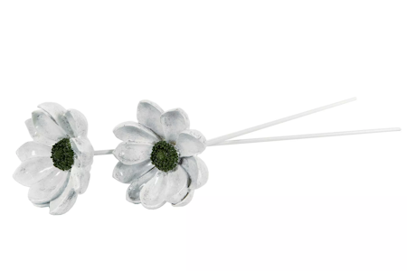 Blomma Fleur Pinne Grön Poly