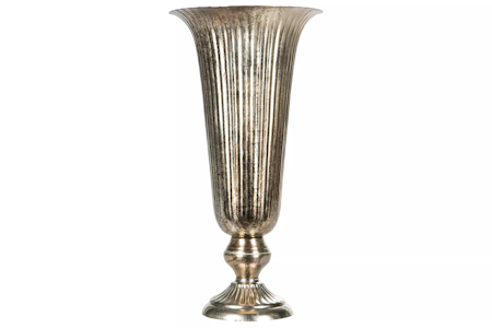 Pokal Rex Champagne