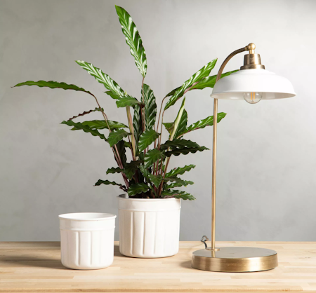 Bordslampa Noa Emalj Shell