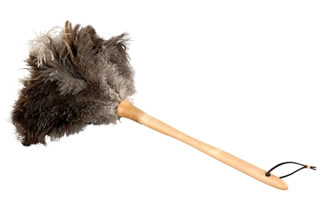 Dammvippa Strutsfjäder Natur
