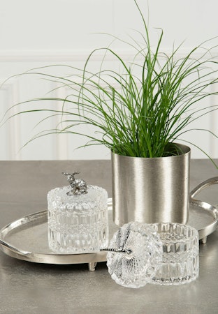 Glasburk Kanin