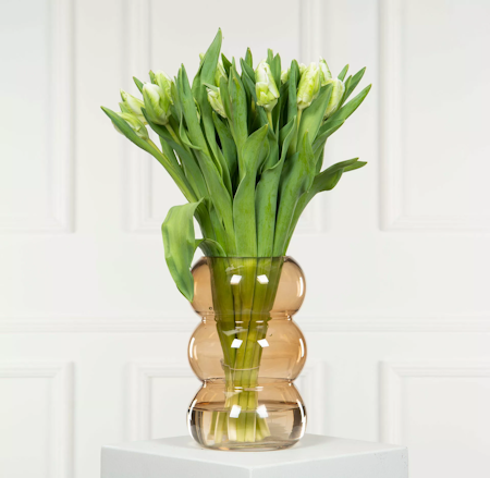 Vas Tulip