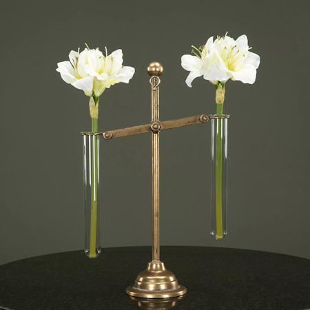 Vågskål Amaryllis Provrör G.Brun