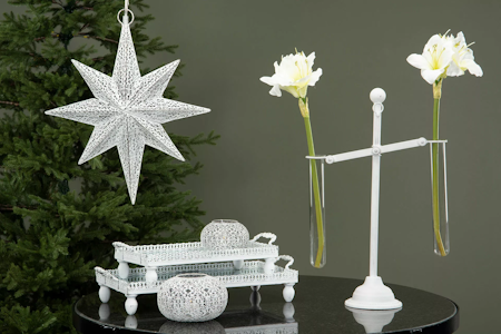 Vågskål Amaryllis Provrör Vit