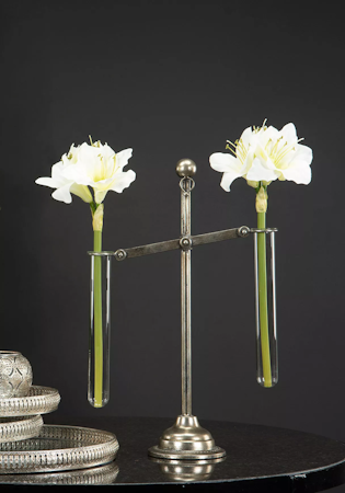 Vågskål Amaryllis Provrör Silver