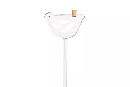 Bevattningsglas Fågel