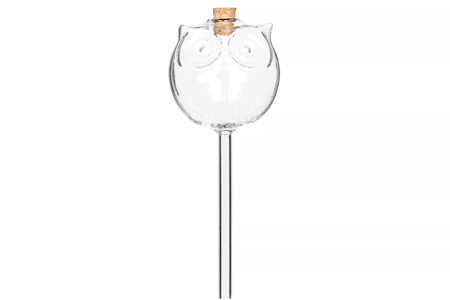 Bevattningsglas Uggla