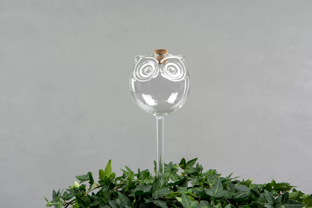 Bevattningsglas Uggla