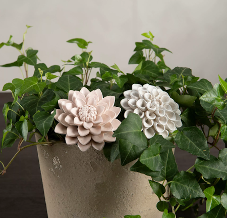 Dahlia Stick Mix Poly