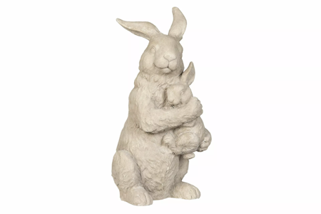 Hare kramas Poly