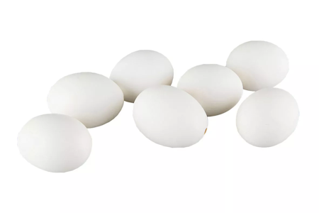 Hönsägg Vit