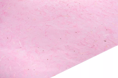 Vaxat Silkesp. Rosa