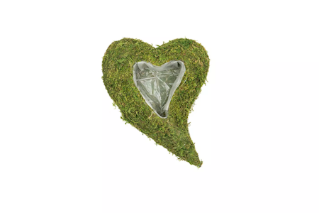 Mosshjärta/Plant Svängd