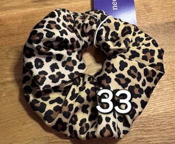 Leopard nr 33