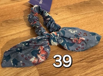 Blue bird 39