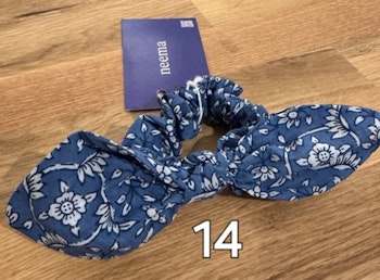 Bluey 14