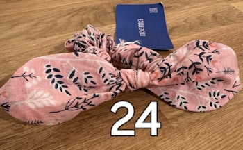 The flamingo 24