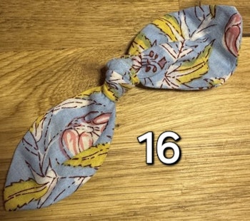 Vestlandet 16