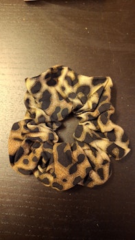 Leopard cloud