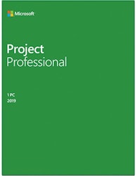 Microsoft Project Professional 2019