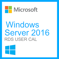 Microsoft Windows Server 2016 - Licens - 50 RDS-enheter CAL