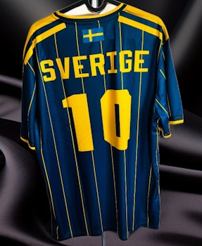 Snygg sverige tröja