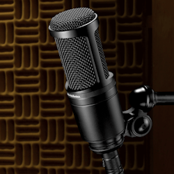 Audio-Technica AT2020 - Stormembranig kondensatormikrofon