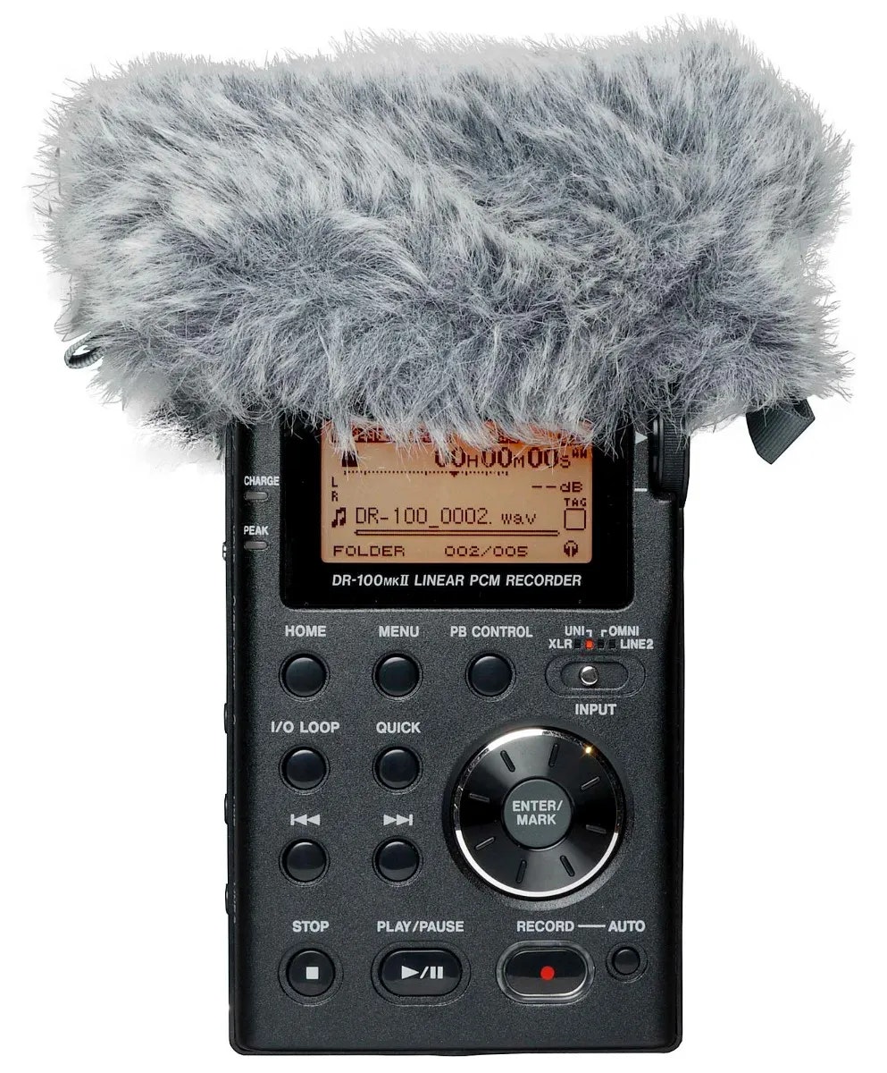 Tascam WS-11 Windscreen for DR series recorders