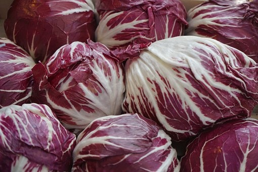 Rossa di Verona, radicchio