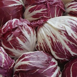 Rossa di Verona, radicchio