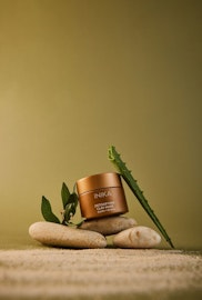 Detoxifying Clay Mask