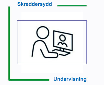 En-til-en undervisning