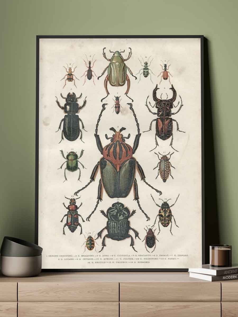 Tavlor & Posters