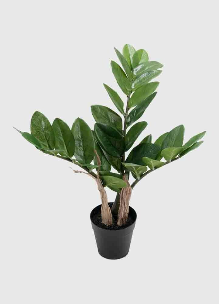 Grön Zamifolia 45 cm konstväxt