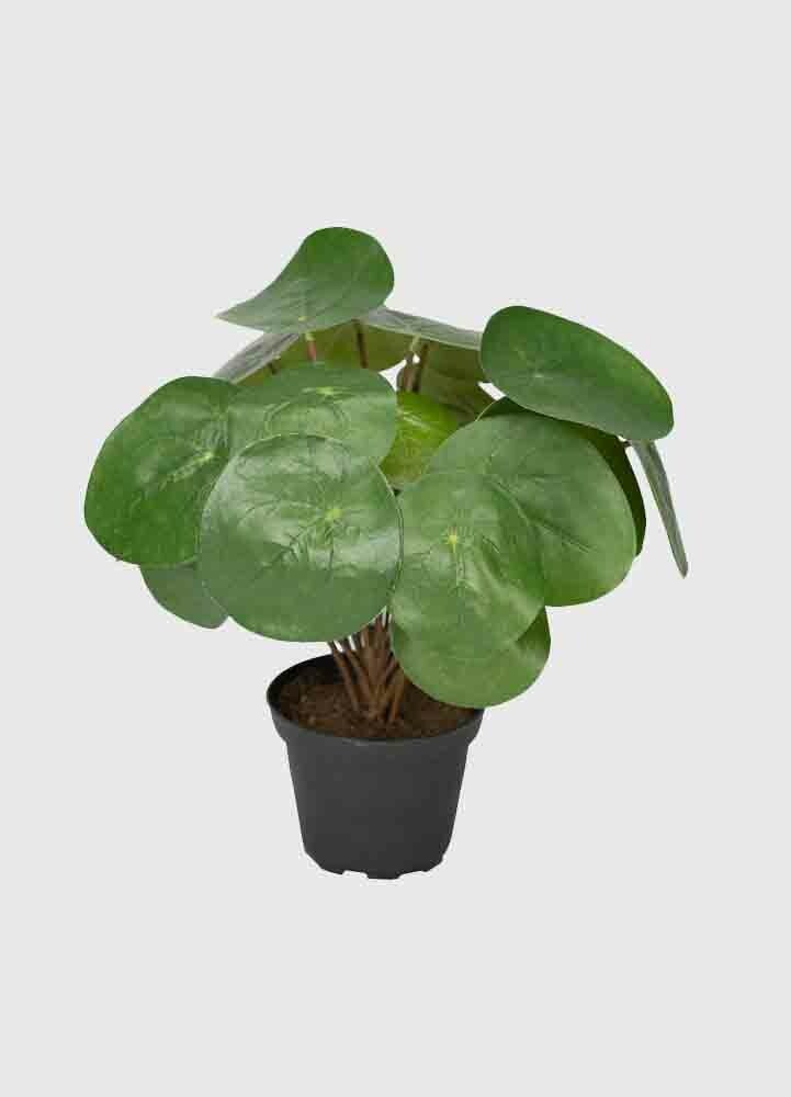 Grön Elefantöra 25 cm konstgjord växt