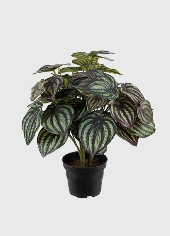 Grön Peperomia 30 cm konstväxt