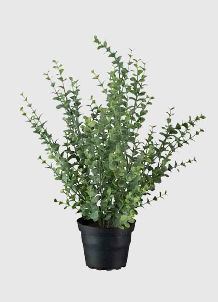 Grön Eucalyptus 40 cm konstväxt