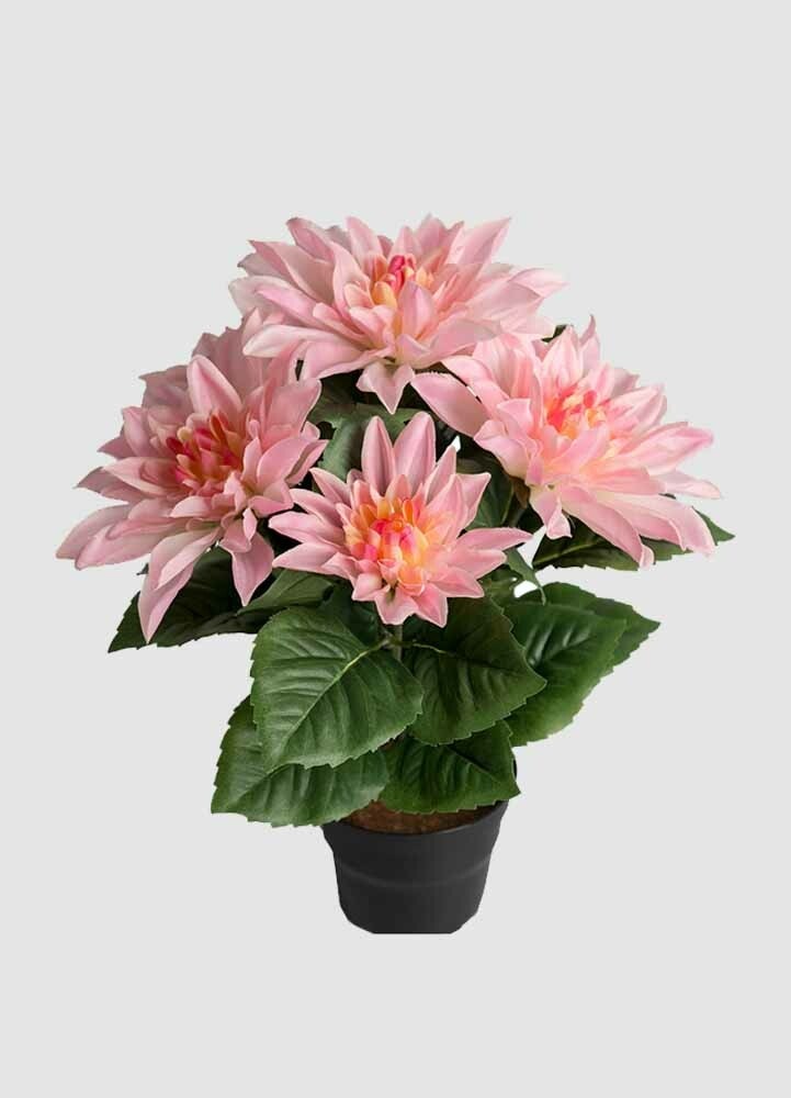 Rosa Dahlia 30 cm konstväxt