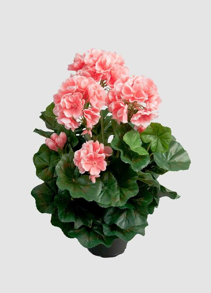 Rosa pelargon konstväxt 35 cm