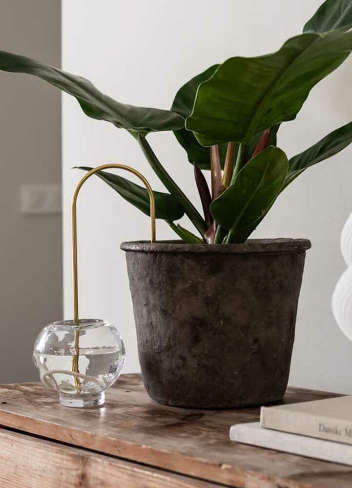 Plant Straws Mässing Liten