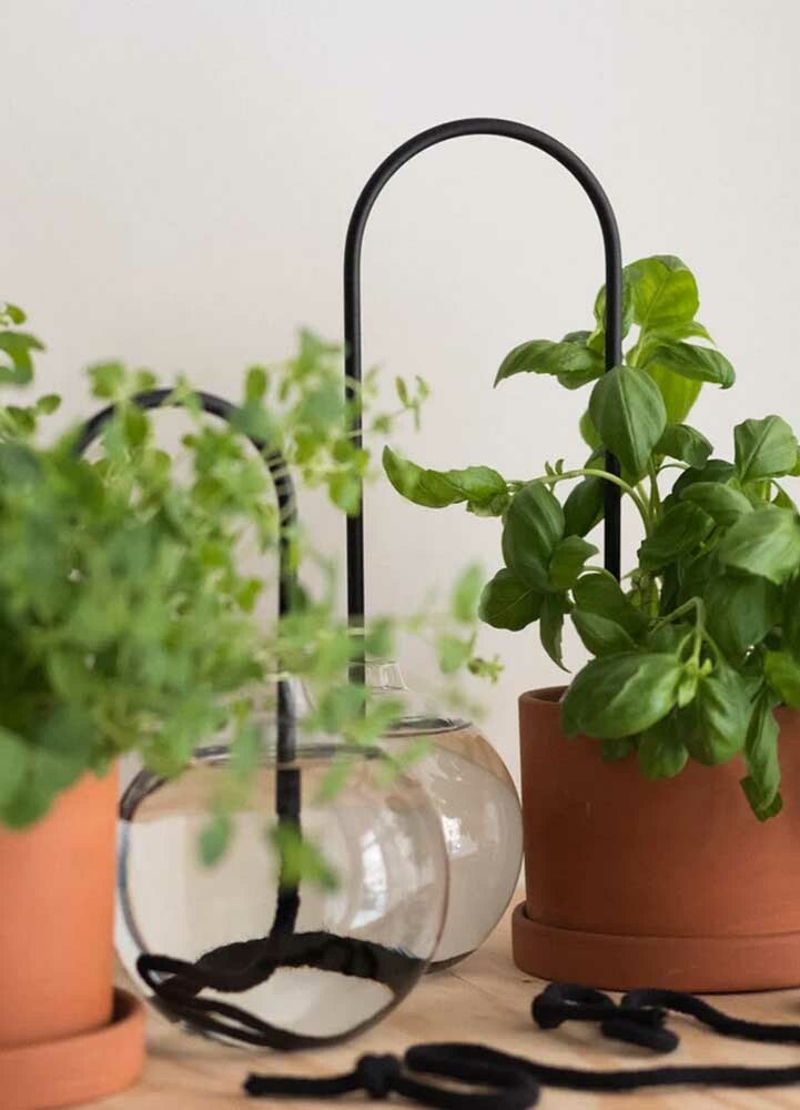 Plant Straws Svart Mellan