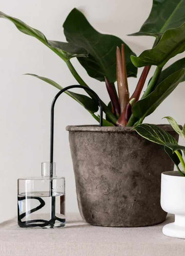 Plant Straws Forest Mellan