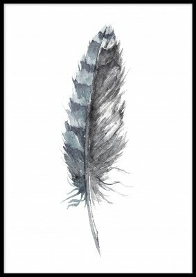Blue feather